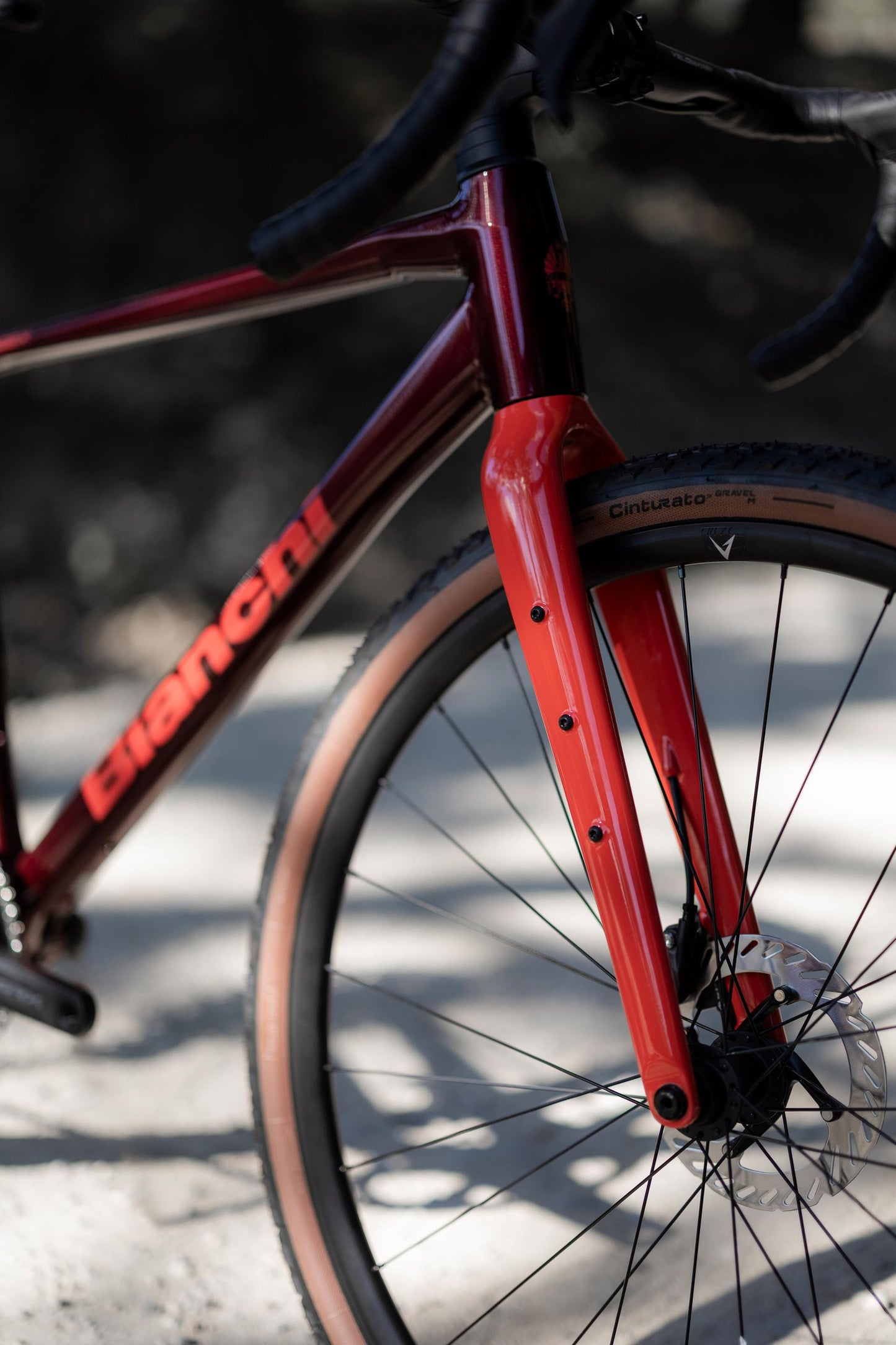 Bianchi Arcadex AL