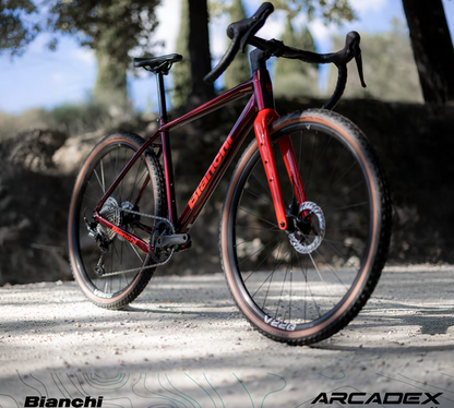 Bianchi Arcadex AL