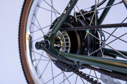 Higbee Mini Velo Electric Bike