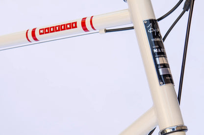 Higbee Mini Velo Electric Bike
