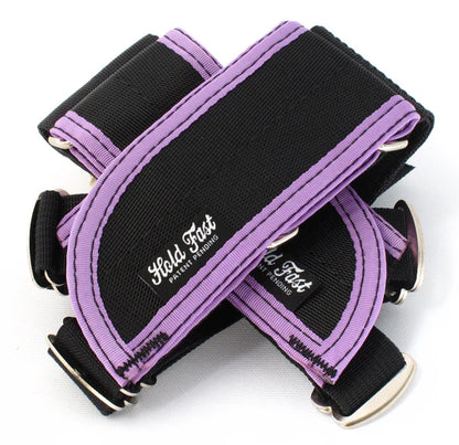 Hold Fast Straps