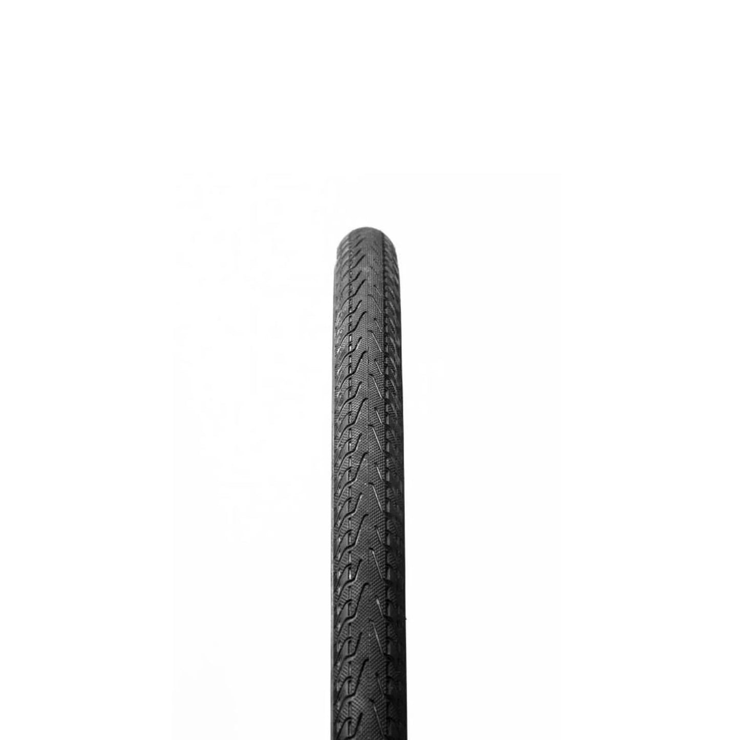 Panaracer Pasela Bicycle Tire